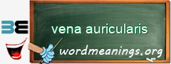 WordMeaning blackboard for vena auricularis